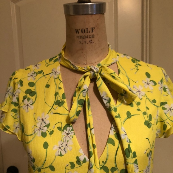 Alice and Olivia Primrose Flutter Dress - Picture 2 of 4